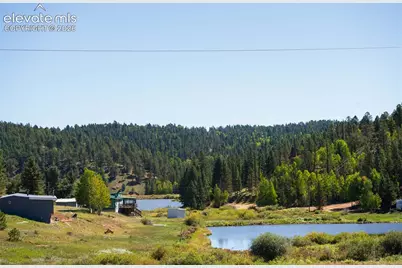 101 Navajo Circle, Divide, CO 80814 - Photo 2