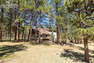 187 Arrowrock Circle, Florissant, CO 80816 - Photo 26