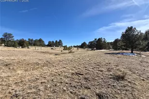 38340 Hwy 24, Lake George, CO 80827 - Photo 12