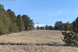 38340 Hwy 24, Lake George, CO 80827 - Photo 4