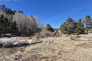 38340 Hwy 24, Lake George, CO 80827 - Photo 8