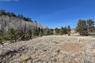 38340 Hwy 24, Lake George, CO 80827 - Photo 6