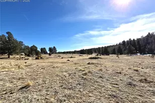 38340 Hwy 24, Lake George, CO 80827 - Photo 14