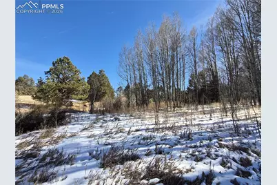 38340 Highway 24, Lake George, CO 80827 - Photo 10