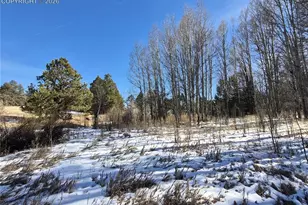 38340 Hwy 24, Lake George, CO 80827 - Photo 10