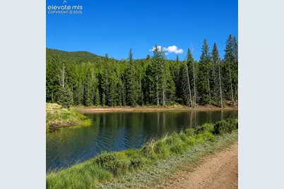 355 Maroon Lake Circle, Divide, CO 80814 - Photo 24