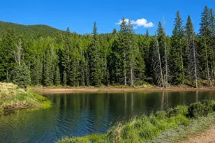 355 Maroon Lake Cir, Divide, CO 80814 - Photo 24