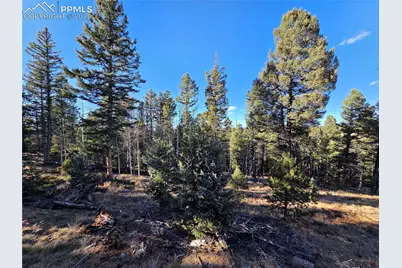 1434 Blue Mesa Drive, Divide, CO 80814 - Photo 10