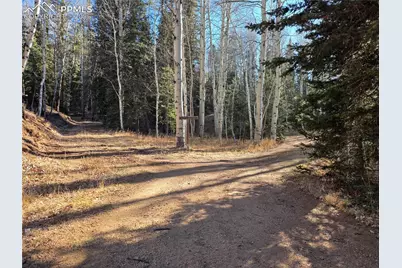 1434 Blue Mesa Drive, Divide, CO 80814 - Photo 20