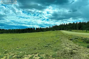 3984 Elkhorn Rd, Hartsel, CO 80449 - Photo 1