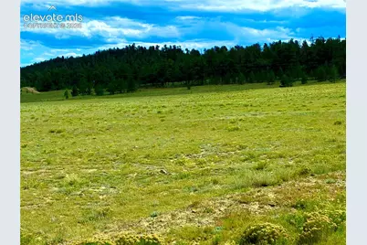 3984 Elkhorn Road, Hartsel, CO 80449 - Photo 8