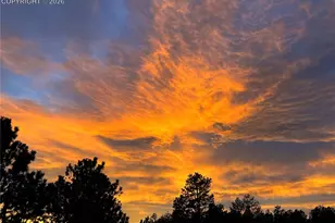 4797 Co Rd 42, Divide, CO 80814 - Photo 44