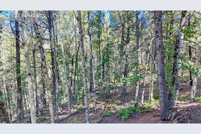 959 Calcite Drive, Divide, CO 80814 - Photo 46