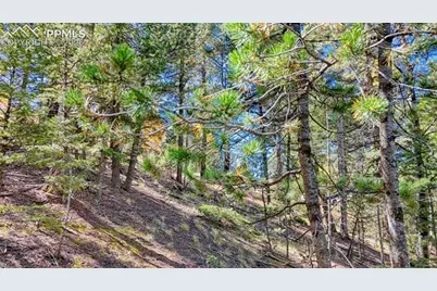 959 Calcite Drive, Divide, CO 80814 - Photo 10