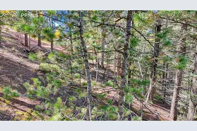 959 Calcite Drive, Divide, CO 80814 - Photo 42