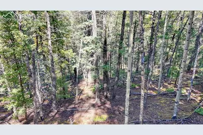 959 Calcite Drive, Divide, CO 80814 - Photo 14