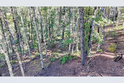 959 Calcite Drive, Divide, CO 80814 - Photo 44