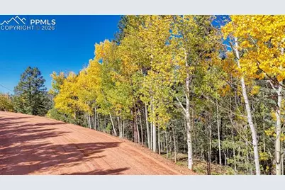 959 Calcite Drive, Divide, CO 80814 - Photo 8