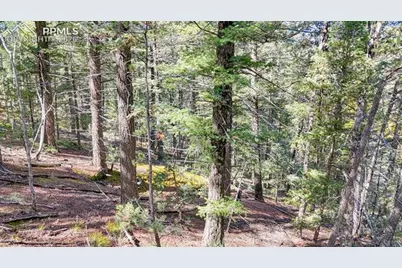 959 Calcite Drive, Divide, CO 80814 - Photo 48