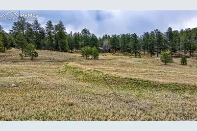 188 High Pasture Road, Florissant, CO 80816 - Photo 8