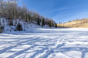 12657 S Hwy 67, Cripple Creek, CO 80813 - Photo 36