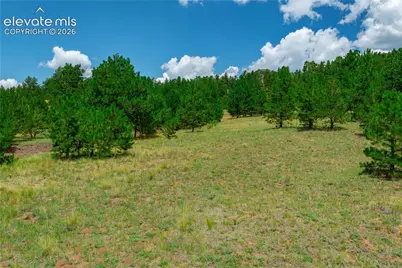 Lot 28 Penrose Circle, Cripple Creek, CO 80813 - Photo 4