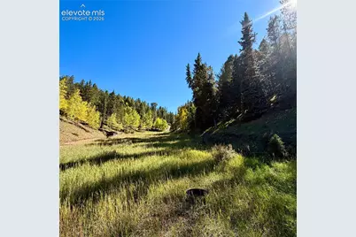 535 Willow Road, Divide, CO 80814 - Photo 2
