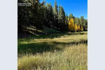 535 Willow Road, Divide, CO 80814 - Photo 1