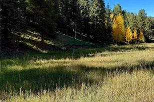 535 Willow Rd, Divide, CO 80814 - Photo 1