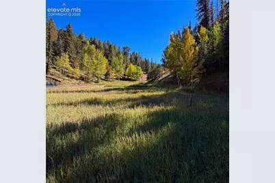 535 Willow Road, Divide, CO 80814 - Photo 6