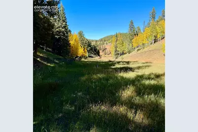 535 Willow Road, Divide, CO 80814 - Photo 18
