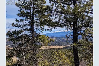 1620 Park Ridge Drive, Guffey, CO 80820 - Photo 8