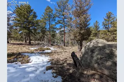 1620 Park Ridge Drive, Guffey, CO 80820 - Photo 6