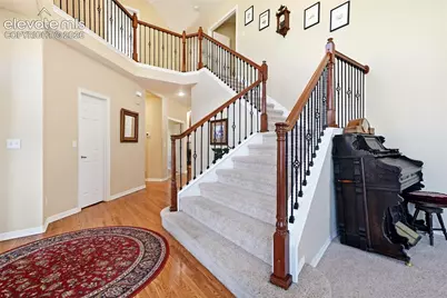 901 Prickly Pear Place, Colorado Springs, CO 80921 - Photo 4