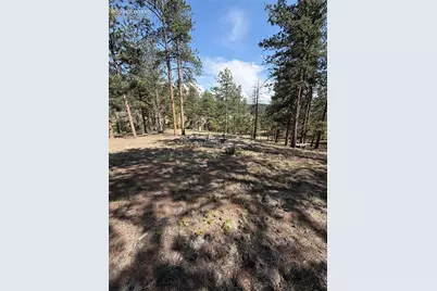 39 Rabbil Creek Trail, Florissant, CO 80816 - Photo 2