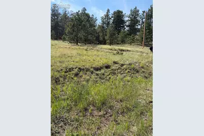 39 Rabbil Creek Trail, Florissant, CO 80816 - Photo 6