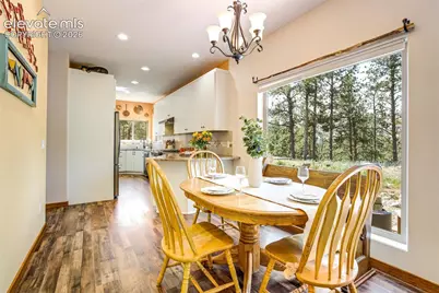 693 Black Mesa Circle, Florissant, CO 80816 - Photo 16