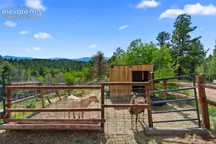 4269 County Road 51 Rd, Divide, CO 80814 - Photo 24