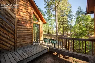 886 Cottonwood Lake Dr, Divide, CO 80814 - Photo 30