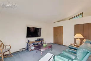 886 Cottonwood Lake Dr, Divide, CO 80814 - Photo 20