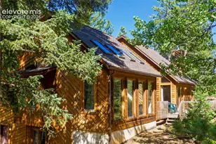 886 Cottonwood Lake Dr, Divide, CO 80814 - Photo 4