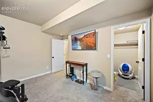 13296 Cedarville Way, Colorado Springs, CO 80921 - Photo 38