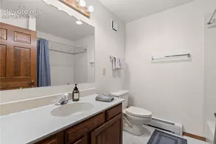380 Scrub Oak Cir, Monument, CO 80132 - Photo 26