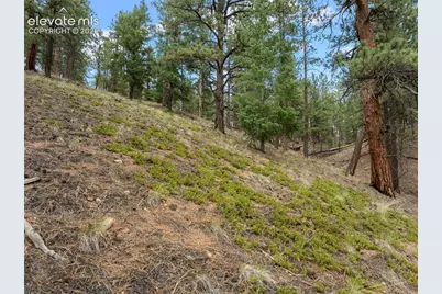 3919 County Road 33, Sedalia, CO 80135 - Photo 18