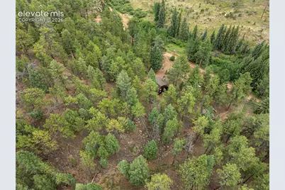 3919 County Road 33, Sedalia, CO 80135 - Photo 20