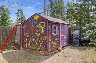 421 N Center St, Woodland Park, CO 80863 - Photo 44