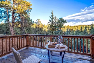119 Remwood Circle, Divide, CO 80814 - Photo 20