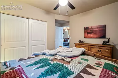 119 Remwood Circle, Divide, CO 80814 - Photo 36