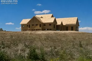 10126 Alamar Wy, Colorado Springs, CO 80908 - Photo 2