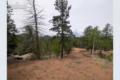 16 Princess Lane, Cripple Creek, CO 80813 - Photo 6